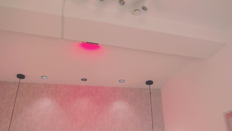 LilyVegaa's Streamate show and profile